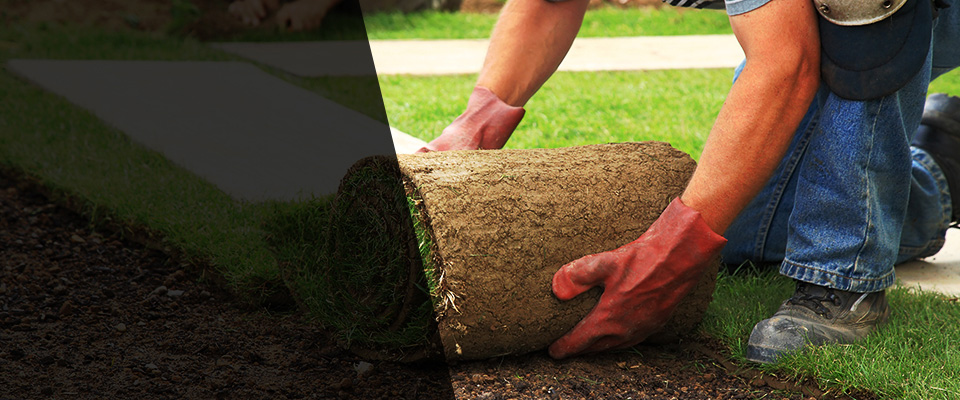 Waterford Landscapers